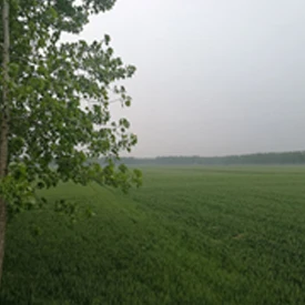 西华牧原八场.jpg